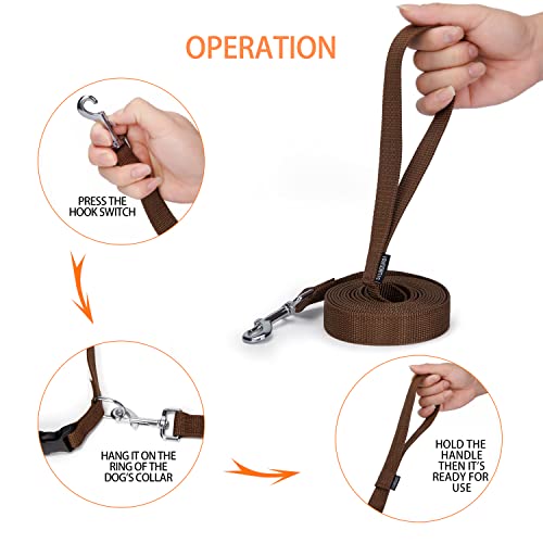 Strong Durable Nylon Dog Training Leash, 1 Inch Wide Traction Rope, 6 ft 10ft 15ft Long, for Small and Medium Dog (Brown, 10 Feet)