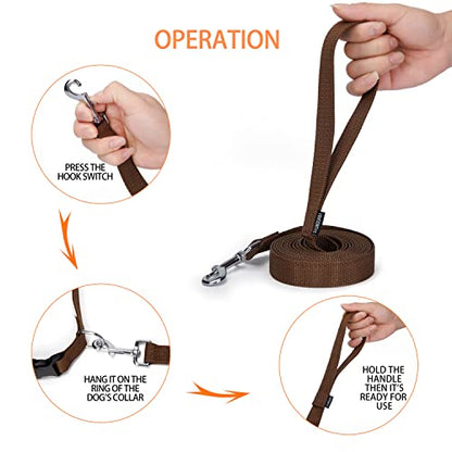 Strong Durable Nylon Dog Training Leash, 1 Inch Wide Traction Rope, 6 ft 10ft 15ft Long, for Small and Medium Dog (Brown, 10 Feet)