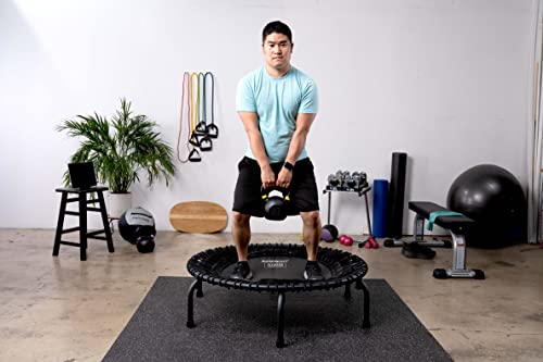 JumpSport 350 PRO 39 Inch Fitness Trampoline Indoor Rebounder Cardio Workout Equipment 300 lb Capacity - color: Matte Black