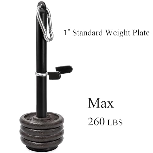 Weight Loading Pin for 1 Inch Standard and 2 Inch Weight Plate, Loading Pin with Heavy Duty Carabiner for Cable Pulley System LAT Pulldown Home Gym Workout Equipment