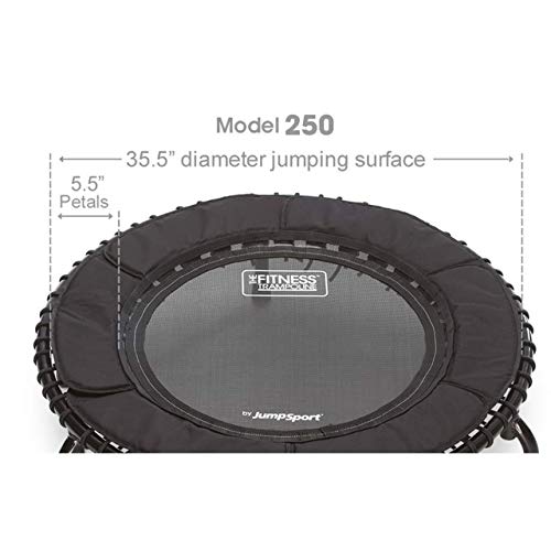JumpSport 39 Inch Fitness Trampoline Adults Workout Rebounder with Handlebar, Model 250
