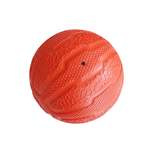PRISP Weighted Rubber Medicine Ball - Weight Ball for Strength Exercises and Fitness Workouts