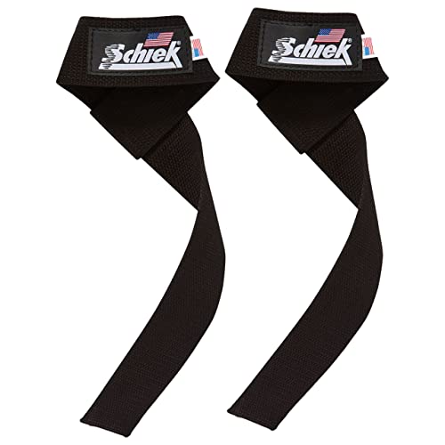 Schiek 1000 lb Basic Lifting Strap