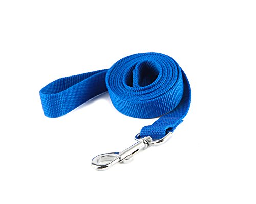 Nylon Dog Training Leash, Traction Rope, 4Ft /5 Foot /6 Feet Long, 5/8 inch 3/4 Inch 1 Inch Wide, for Small and Medium Dogs (1'' x 8 FT, Blue)