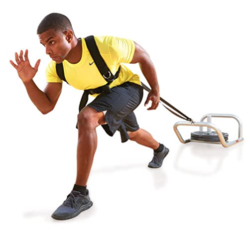 Reactor Low Push and Pull Sled