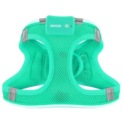 Light Up Dog Harness, Rechargeable LED Dog Harness for Small Medium Dogs - color: Light Green, size: M