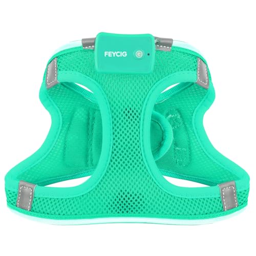 Light Up Dog Harness, Rechargeable LED Dog Harness for Small Medium Dogs - color: Light Green, size: S