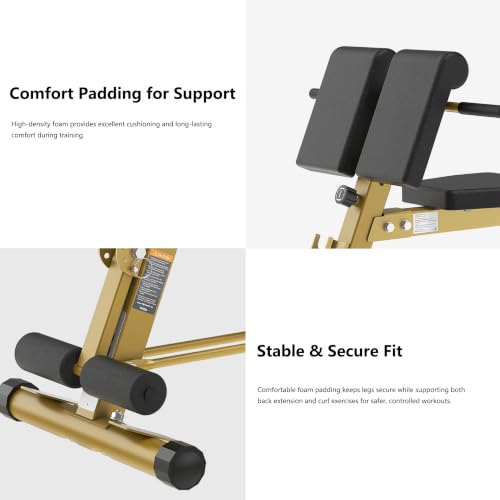Adjustable Weight Bench with Preacher Curl & Hyper Extension, Roman Chair for Full Body Strength Training