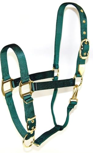 Hamilton Deluxe Horse Halter, 1" Triple Ply Nylon, Adjustable Chin Strap, Easy On/Off Throat Snap, Average Horse, Arabian, or Yearling Draft, 800-1100 lbs, Dark Green - color: Dark Green, size: Average, 800-1100lbs
