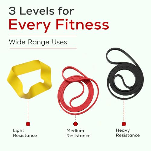 VYTRIX Resistance Bands Set – Pull Up Assist Bands + Mini Resistance Band – Strength Training Workout Bands for Home Gym, Mobility & Rehab - Natural Latex, Includes Carry Bag