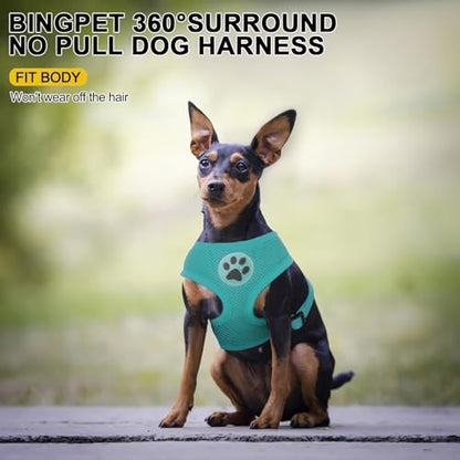 BINGPET Small Dog Harness, No Pull Step-in Puppy Pet Vest, Blue - color: Aqua, size: S (NECK: 12", CHEST: 14"-18")