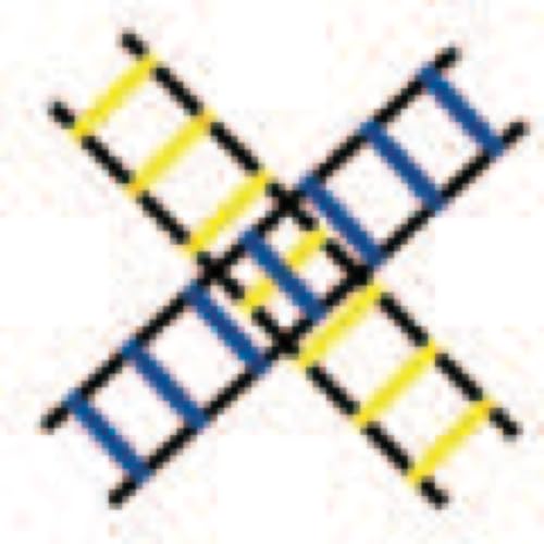 Champion Sports Sectioned Agility Ladder Set, Red/Yellow/Blue/Green, 6.5" x 16" Wide