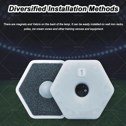 Smart Reaction Training Lights, Agile Reaction Fitlight, with App, for Improve Speed Agility Training Boxing Reflex, Focus, Soccer Basketball Boxing Training (12lights)