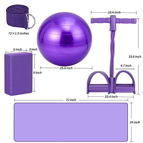 Yoga Mat Set for Beginners,Yoga Mat with Carrying Strap,Yoga Blocks 2 Pack with Yoga Strap,Yoga Ball,Ankle Puller,11-Piece Yoga Kits and Sets for Beginners,Yoga Starter Kit for Women Men