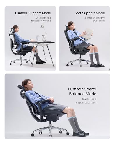 SIHOO Doro C300 Pro V2 Ergonomic Office Chair, 135° Recline, 2 Packs, Black - color: Black, size: Pack of 2