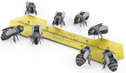 Bee Gym/Slim Gym Combo (2)