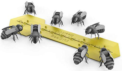 Bee Gym/Slim Gym Combo (2)
