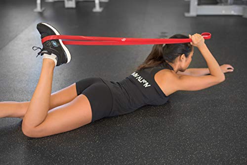Fit Simplify Pull Up Assist Resistance Bands for Fitness, Physical Therapy, Stretching, Mobility and Exercise - color: Orange