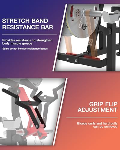 HVO Bicep Tricep Curl Machine Preacher: Curl Bench 2 in 1 Arm Curl and Tricep Extension Machine for Home Gym Workout