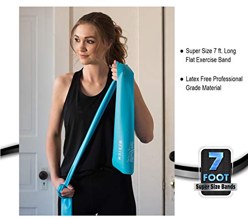 USA 14" x 3" Extra Long Latex Free Mini Loop and Flat Resistance Band 5 Set. in Light, Medium or Heavy Strength. Includes an Exclusive iPhone App, E-Book, and Carry Bag. - color: b. MEDIUM STRENGTH SKY BLUE Set