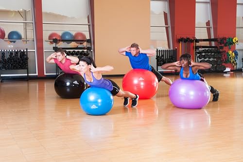 Black Mountain Products Exercise Stability Yoga Ball, Foot Pump, Ball Plug, Plug Puller, 2000 Lbs Static Weight Capacity Antiburst - color: Red, size: 65cm