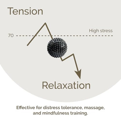 2X Spiky DBT Skill Balls | 2inch | Magnetic Stress Relief Balls | Spiky Massage Balls for Relaxation, Tension Release, Focus & Mobility (Black)