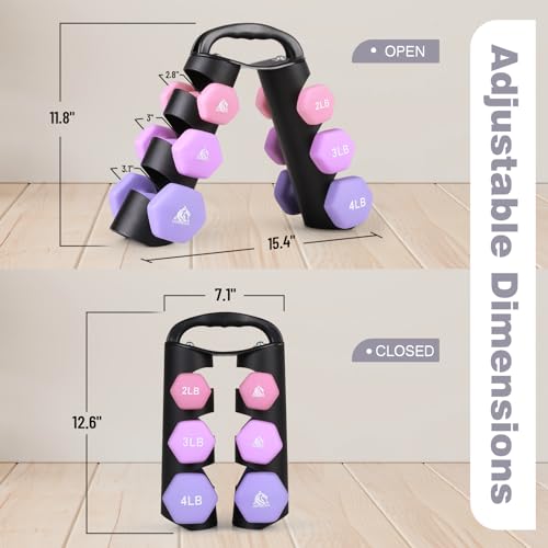 LIONSCOOL Set of 2 Neoprene Coated Dumbbell Hand Weights, Anti-Slip and Anti-Roll Hex Dumbbells in Pair for Strength Training, Resistance Training - style: 18lb, set of 6 with stand (Lilac Fantasy)