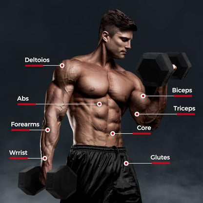 RitFit Rubber Hex Dumbbell Set with Storage Weight Rack - style: 300 LBS (10-50LB)