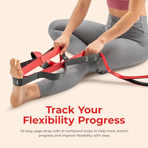 Sunny Health & Fitness Premium Yoga Stretch Strap with 8 Individual Grip Loops - 75" x 1.5" Durable Polyester Stretching Strap for Flexibility, Physical Therapy, Pilates, and Full Body Workouts