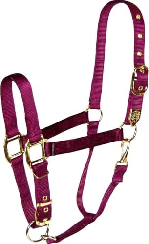 Hamilton Deluxe Horse Halter, 1" Triple Ply Nylon, Adjustable Chin Strap, Easy On/Off Throat Snap, Average Horse, Arabian, or Yearling Draft, 800-1100 lbs, Wine - color: Wine, size: Average, 800-1100lbs