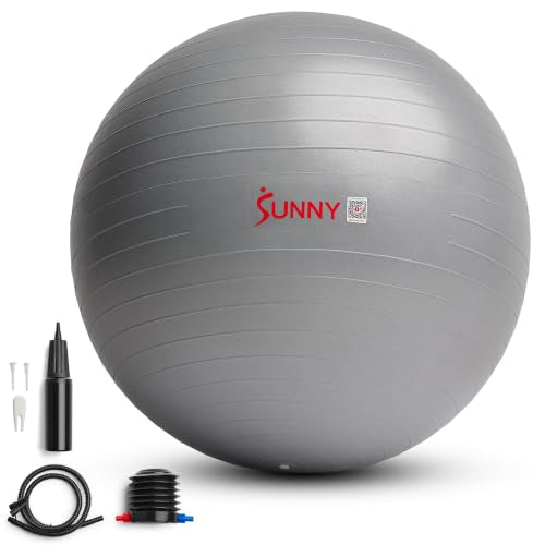 Sunny Health & Fitness Premium Anti-Burst Exercise & Stability Ball - size: 21.7" (55cm)