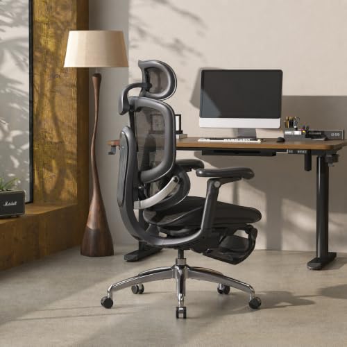 SIHOO Doro C300 Pro V2 Ergonomic Office Chair with Footrest, 2 Packs, Black - color: Jet Black, size: Pack of 2