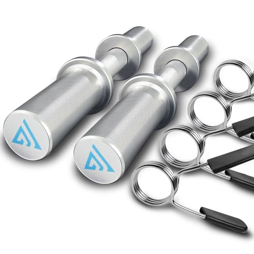 16" Olympic Dumbbell Handle, Dumbbell Bar for 2-inch Olympic Weight Plates, Loadable Dumbbells for Home Gym Strength Training, 2 Pair of Spring Collars Included - color: Silver