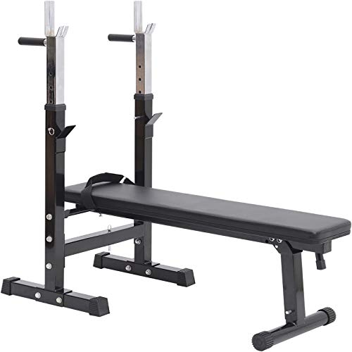 Foldable Workout Bench for Home, Gym, Adjustable Weight Bench, Dip Stand, Bench Press Stand for Full Body Exercise, Squat Stand with Flat Tilt Fitness Bench