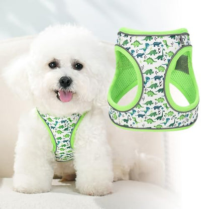 Step in Dog Harness and Leash Set, Flower Adjustable Easy Walk Puppy Harnesses, Soft Mesh Pet Vest Harness Small Size Dog Adjustable No Pull Dog Harness for Small Dogs and Cats(Dinosaur1, XS)