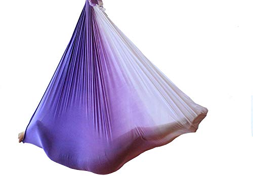 F.Life Aerial Yoga Hammock kit- Yoga Swing Multicolor 5 yards-Flying Yoga Include Daisy Chain,Carabiner and Pose Guide - color: Purple Pink Ombre