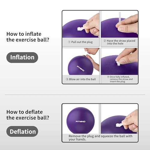 FITMIND_Pilates Ball 10 Inch Anti-Burst Slip Resistant Mini Yoga Ball for Fitness, Core Training, Physical Therapy, Balance, Stability, Stretching 200kg 440lbs Capacity