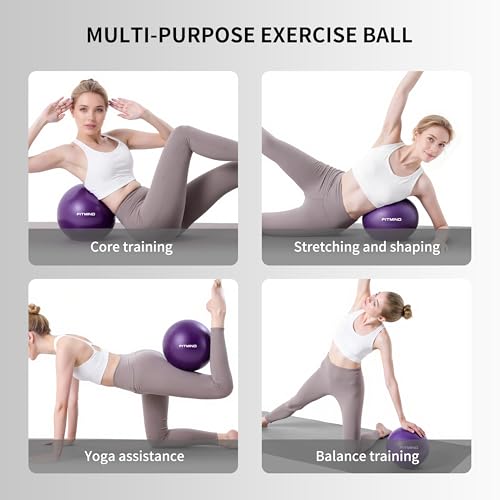 FITMIND_Pilates Ball 10 Inch Anti-Burst Slip Resistant Mini Yoga Ball for Fitness, Core Training, Physical Therapy, Balance, Stability, Stretching 200kg 440lbs Capacity