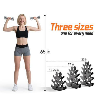 4 Tier Dumbbell Rack, Weight Rack For Home Gym, Dumbbell Stand for Free Weights - size: 4 tier