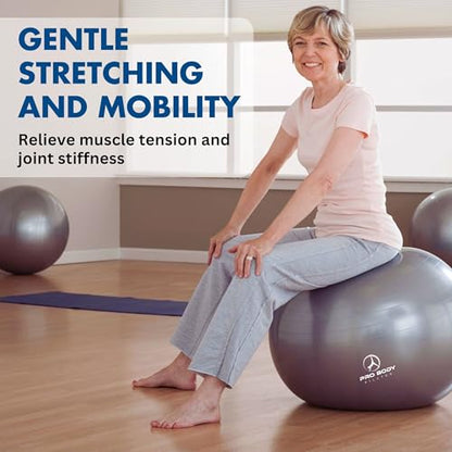 ProBody Pilates Yoga Ball - Vibrant Colors Exercise Ball - color: Slate, size: M: 19-22" (55 cm)