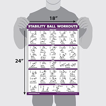 Exercise Ball Workout Poster - Stability Ball Routine - Balance Ball - Laminated - 18" x 24"