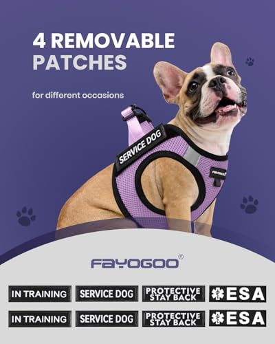 Service Dog Vest for Small Breed - Lightweight Dog Harness with 6PCS Removable Patches - Puppy Harness and Leash Set for Walking,Training