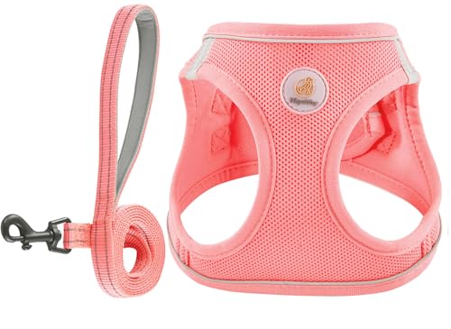 Dog Harness and Leash Set, No Pull Soft Mesh Puppy Harness for Small Medium Dogs, Cats - Step in Reflective Breathable Lightweight Vest Harness for Walking, Training - Pink, S - color: Pink, size: S (Chest: 15.5"-17")