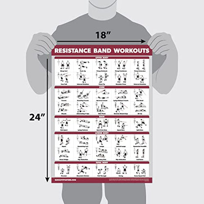 Palace Learning QUICKFIT Resistance Bands Workout Exercise Poster - Double Sided (Laminated, 18" x 24") - color: LAMINATED
