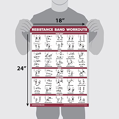 Palace Learning 4 Pack - Resistance Bands Workout Exercise Posters Volume 1, 2 & 3 + Resistance Loops Fitness Chart (LAMINATED, 18" x 24") - color: LAMINATED