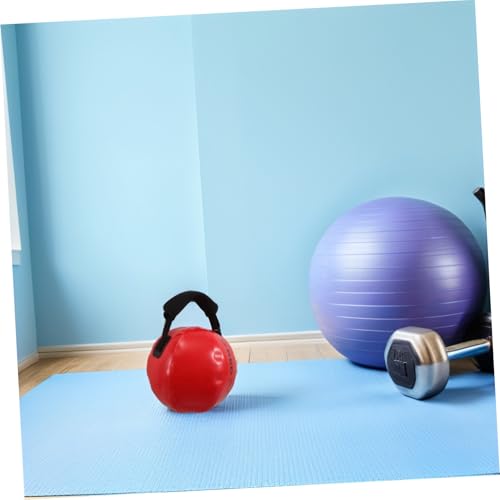 Alasum Adjustable Weight Small Water Bags for Training with Comfortable Handle, Pvc Cloth Material Sandbag Weights for Indoor Exercise and Boxing Glove Training, Targeted Muscle