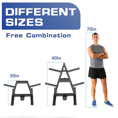 A-Frame Weight Plate Tree for 1" Olympic Plates - Holds 300 lbs, Dumbbell Rack and Home Gym Storage Stand - Organize Your Workout Area