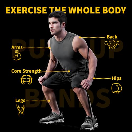 Resistance Bands for Working Out, Pull Up Bands for Men Women, Thick Heavy Resistance Band Set with Door Anchor, Elastic Exercise Bands for Body Stretching, Physical Therapy, Home Workouts