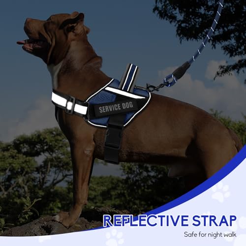 Service Dog Vest Harness and Leash Set, Animire in Training Dog Harness with 10 Dog Patches, Reflective Dog Leash with Soft Padded Handle for Small, Medium, Large, and Extra-Large Dogs