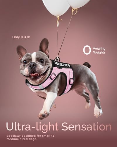 Service Dog Vest for Small Dogs - Air Mesh Breathble Emotional Support Animal Vest with Velcro Patches - Puppy Harness and Leash Set Adjustable Neck and Chest